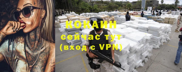 ПСИЛОЦИБИНОВЫЕ ГРИБЫ Абаза
