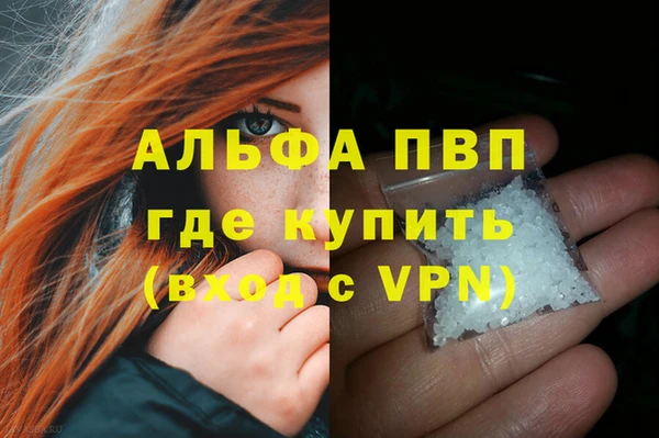 гидра Алексин