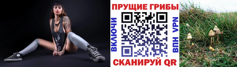 Псилоцибиновые грибы ЛСД  Кириллов 